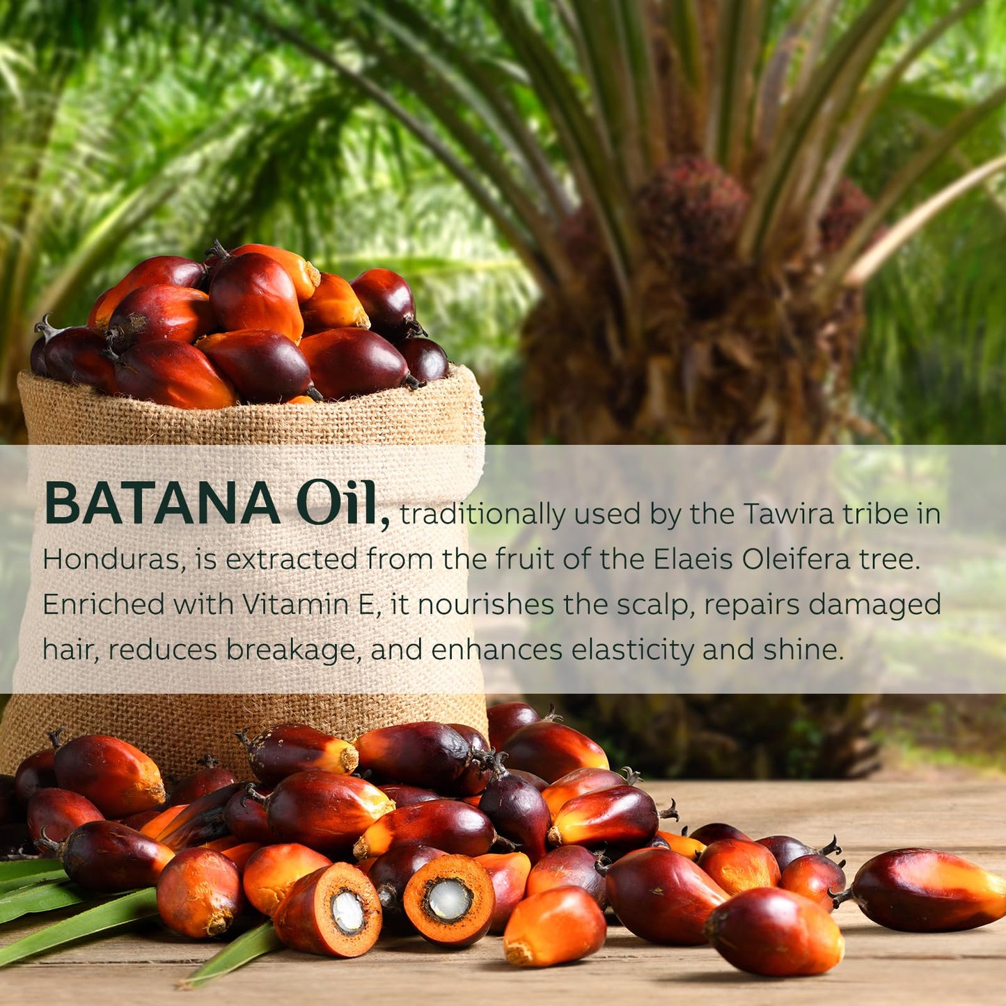Mama’s Roots Raw Batana Hair Paste – 100% Pure Batana from Honduras – Handmade Small Batch Deep Nourishing Hair Mask for Stronger, Thicker, Healthier-Looking Hair 4.9 Oz