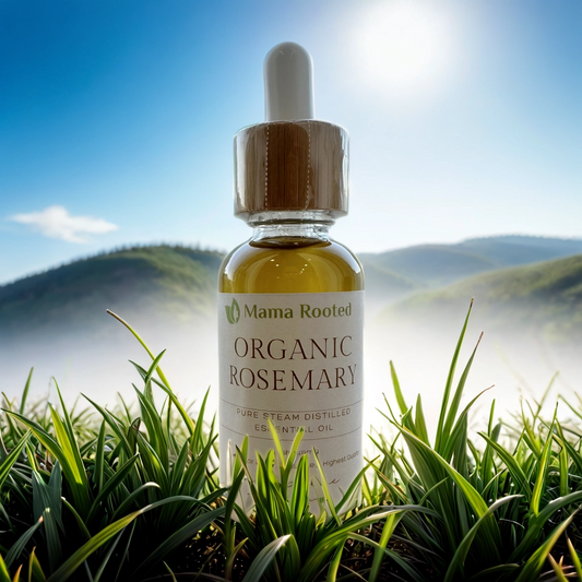 HAIR ELIXIR: ROSEMARY & ARGAN OIL
